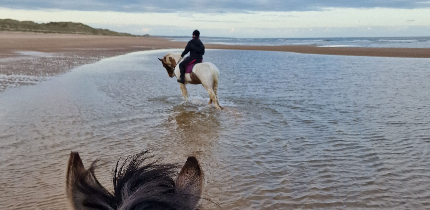 View of Balmedie Beach from between the horses ears