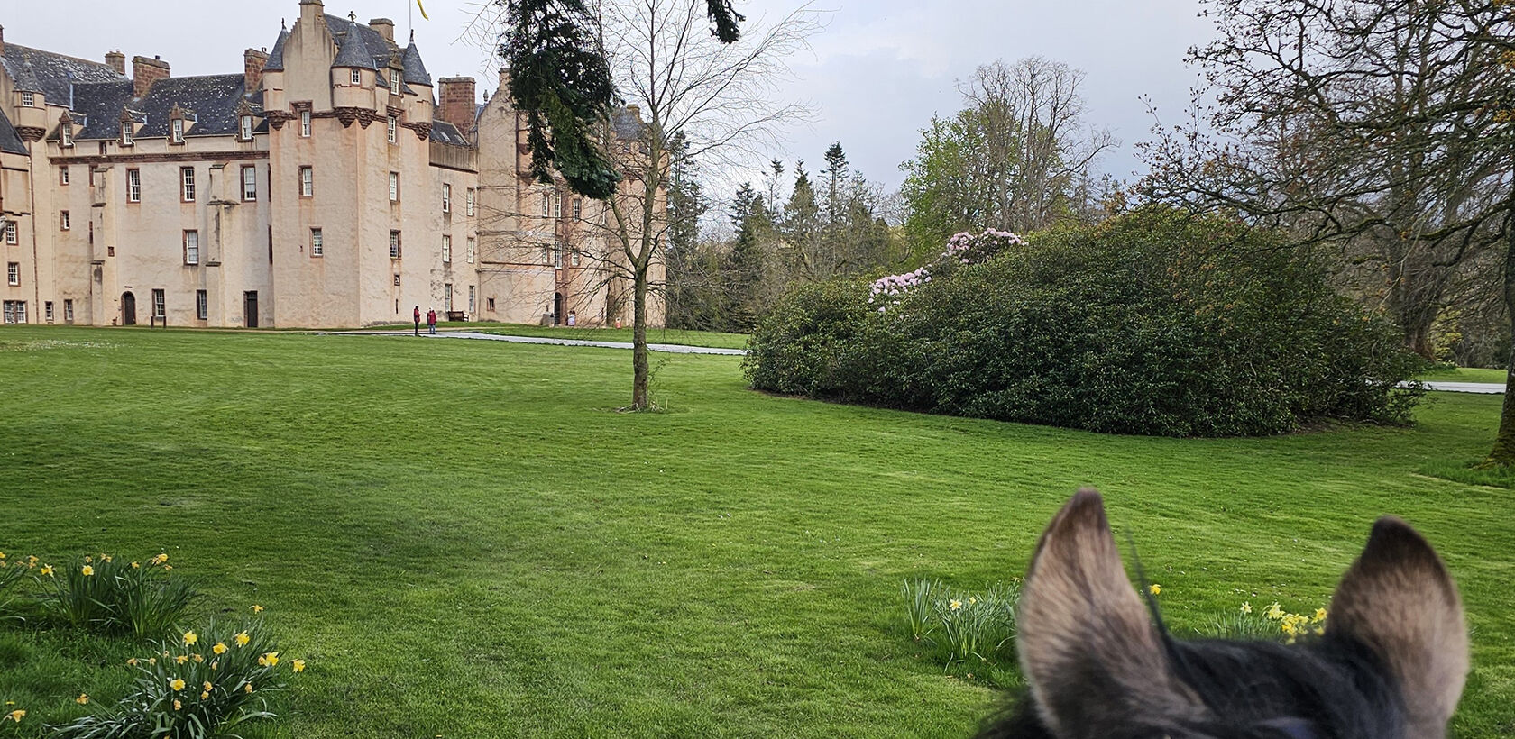 View of Fyvie Castle from between the ponies ears