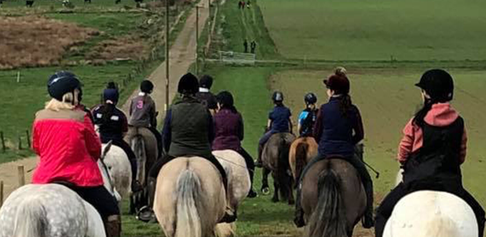 Group of highland ponies riding along a grass track around a field