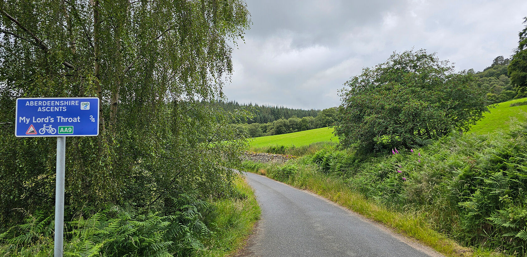 Aberdeenshire Ascents road sign for the Lords Throat next to road surrounded by lush green trees and grass fields