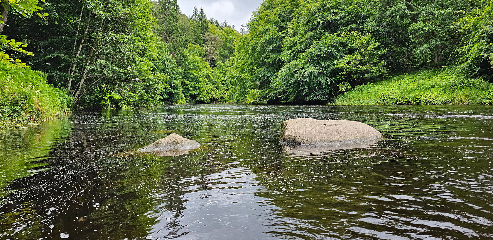 River Don lined with trees and two rocks in the foreground