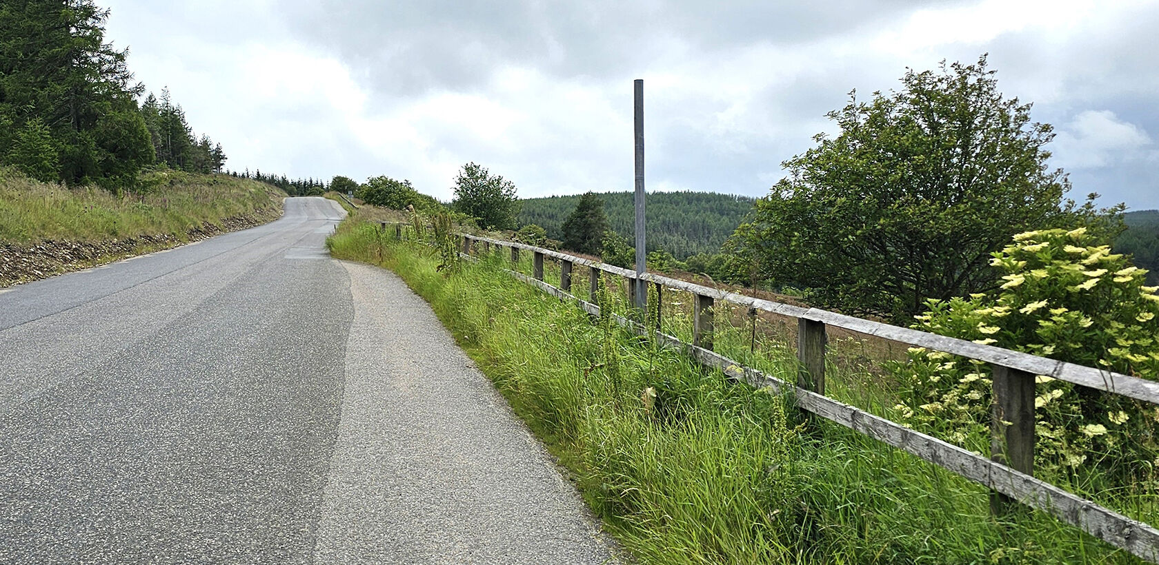 Road heading uphill with woodland on the left and fencing along the right